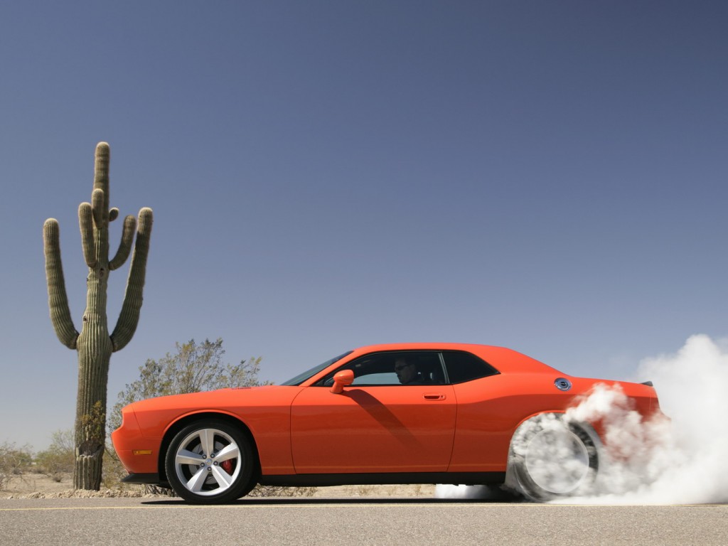 American Muscle (photo 6)