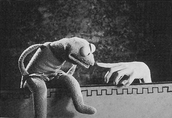 kermitinchwormjpg Master of Muppets (series fantásticas) (photo 2)