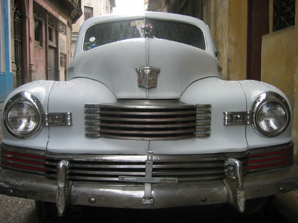Los cacharros y sus trompas (photo 5)