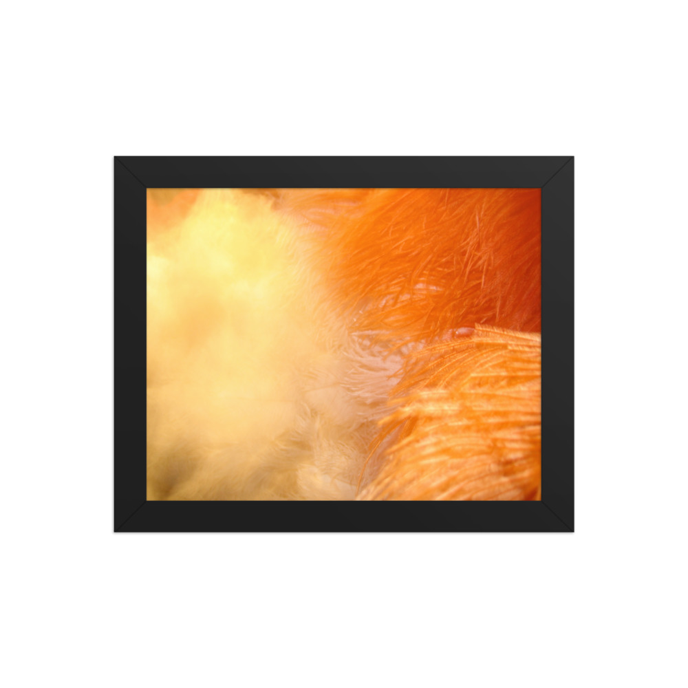 Afterglow III — framed print
