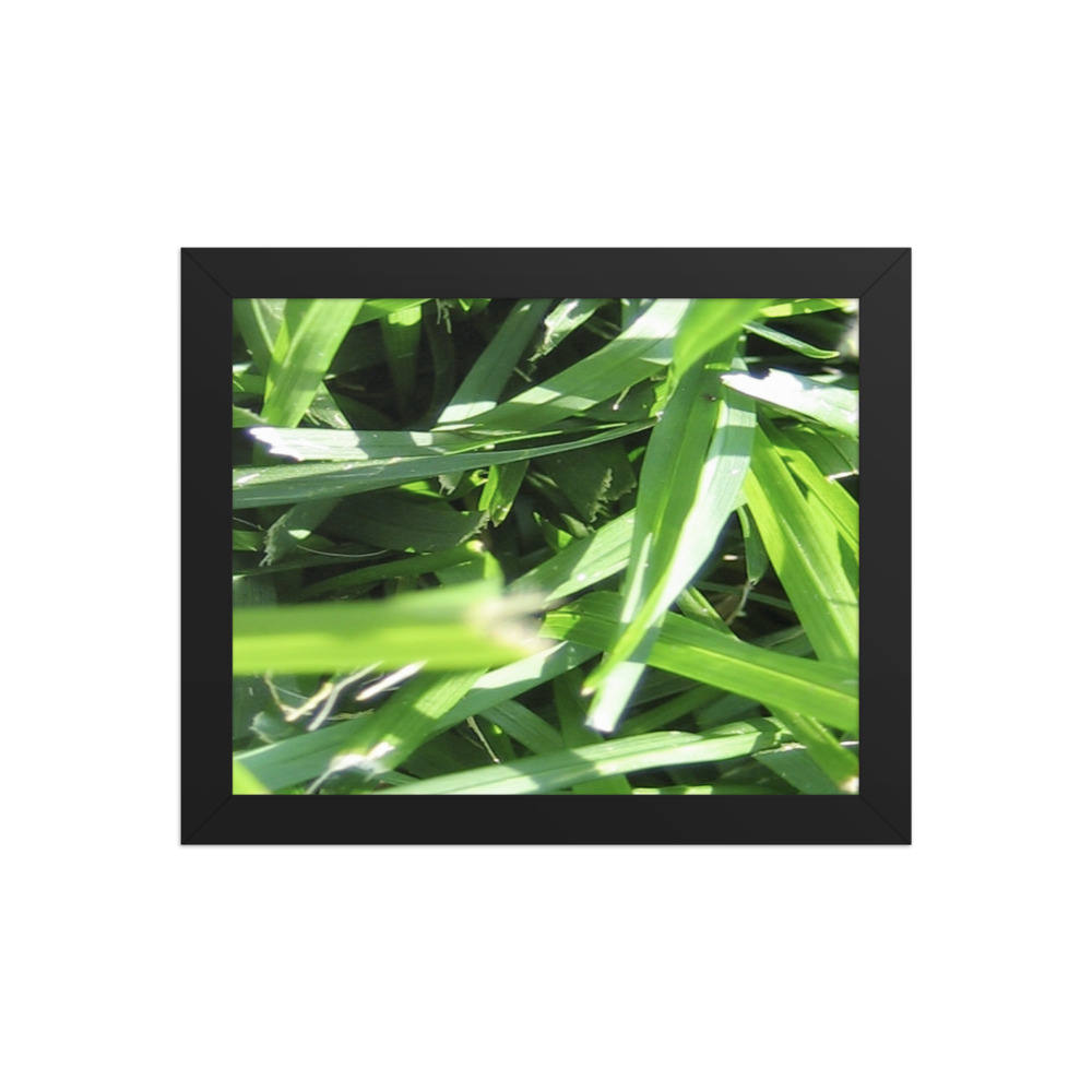 Blades — framed print