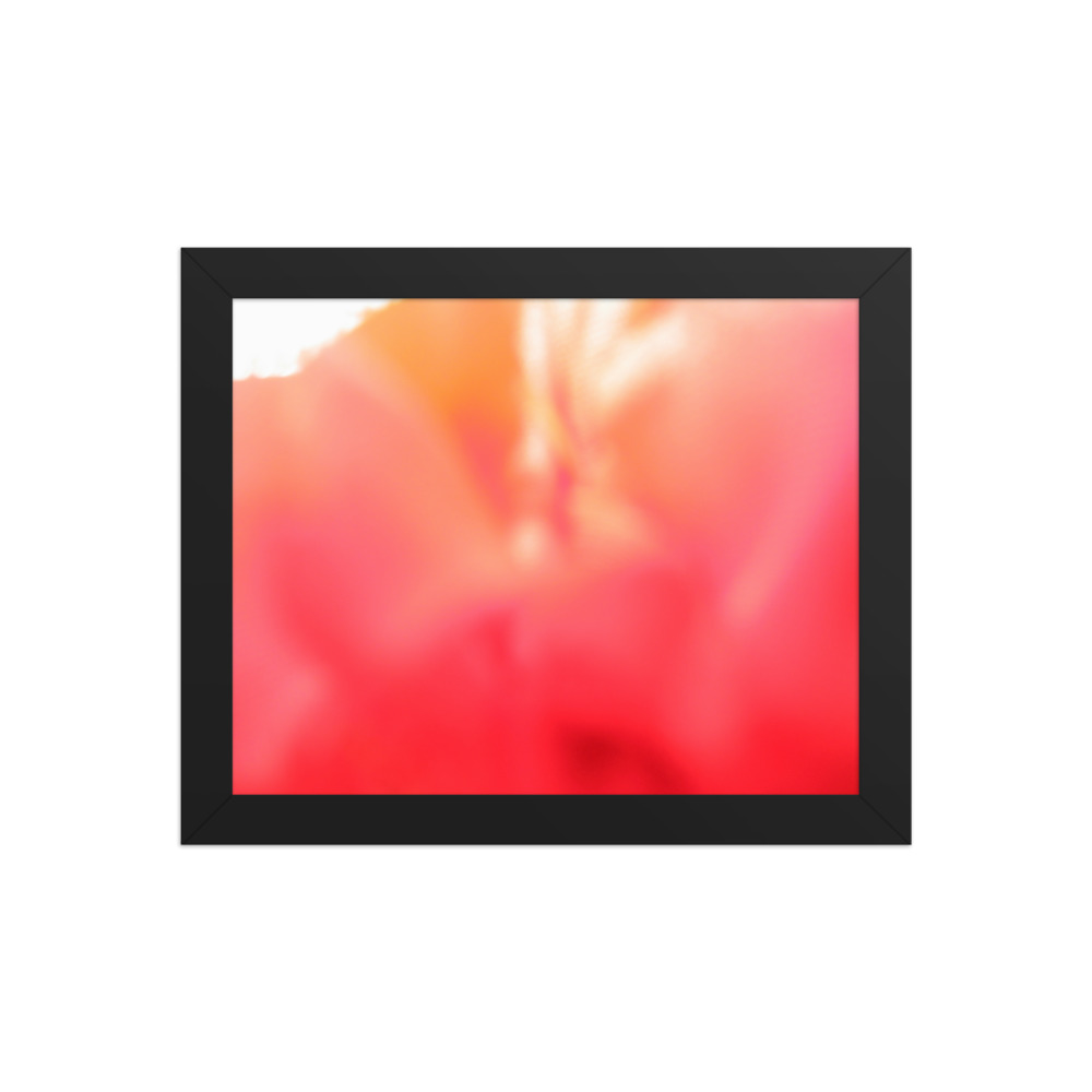 Bloom II — framed print